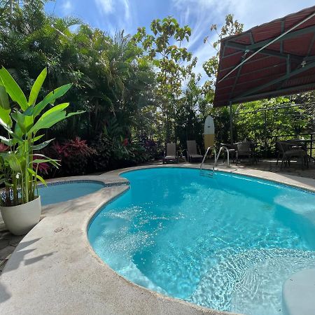 La Jungla Bed and Breakfast Puerto Carrillo Buitenkant foto